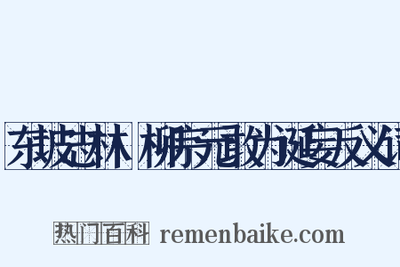东坡志林·柳宗元敢为诞妄反义词是什么意思的图片